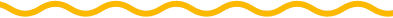Group 938@2x copy Yellow line